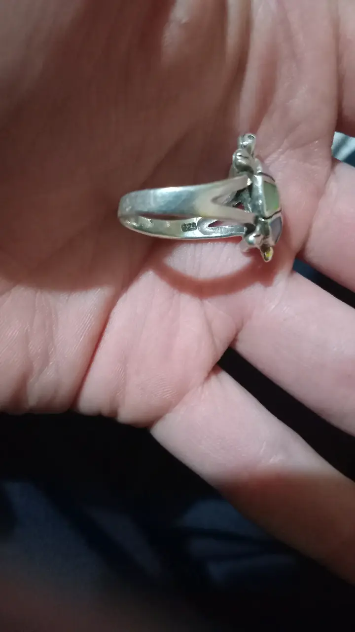 Anillo de tortuga colorido plata 925 - 2