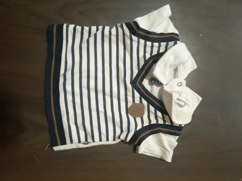 Polera rayada para perro - 1