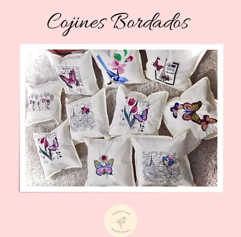 Cojines bordados con lindos diseños