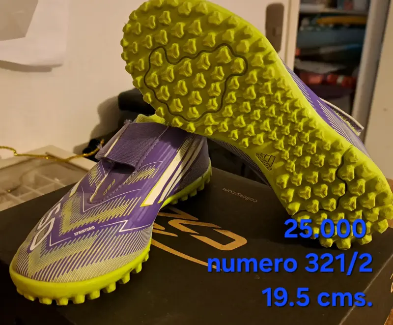 Zapatos deportivos morado y verde