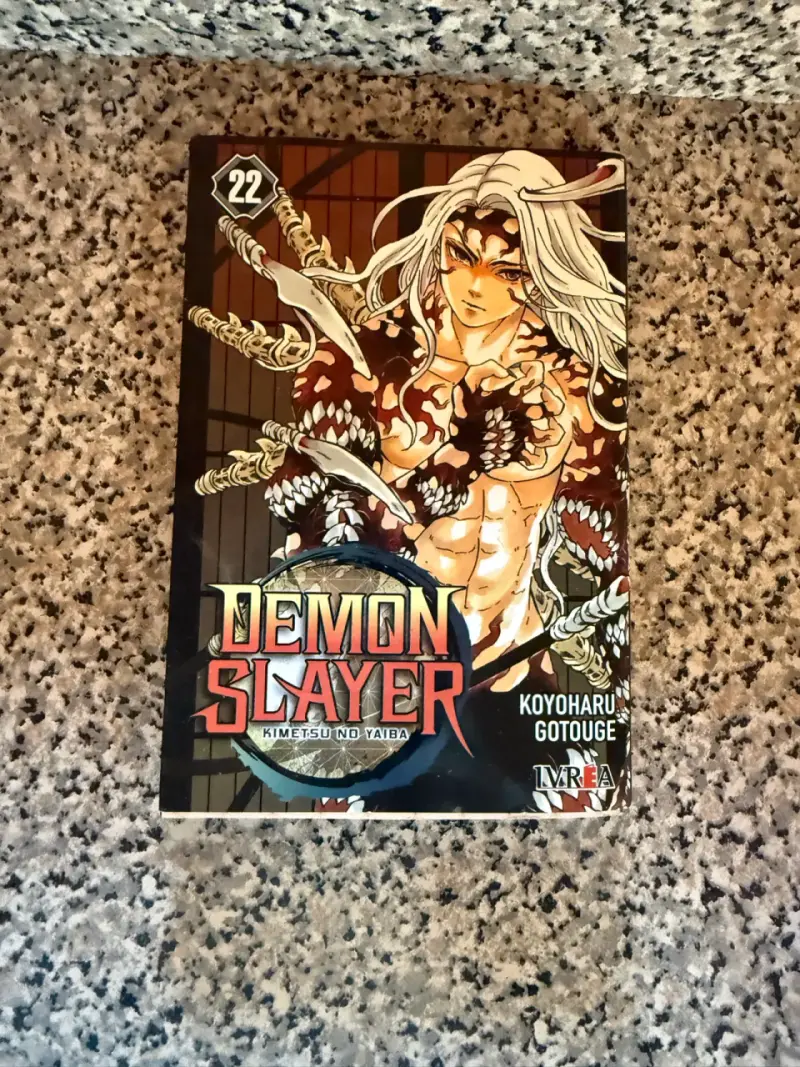 🔥 Pack Manga Demon Slayer / Kimetsu No Yaiba 🔥 - 1