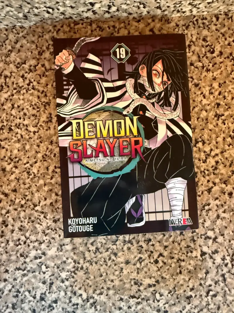 🔥 Pack Manga Demon Slayer / Kimetsu No Yaiba 🔥 - 2