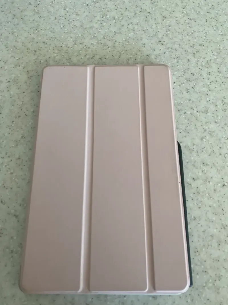 Tablet Samsung Galaxy Tab S6 Lite y funda rosada - 2
