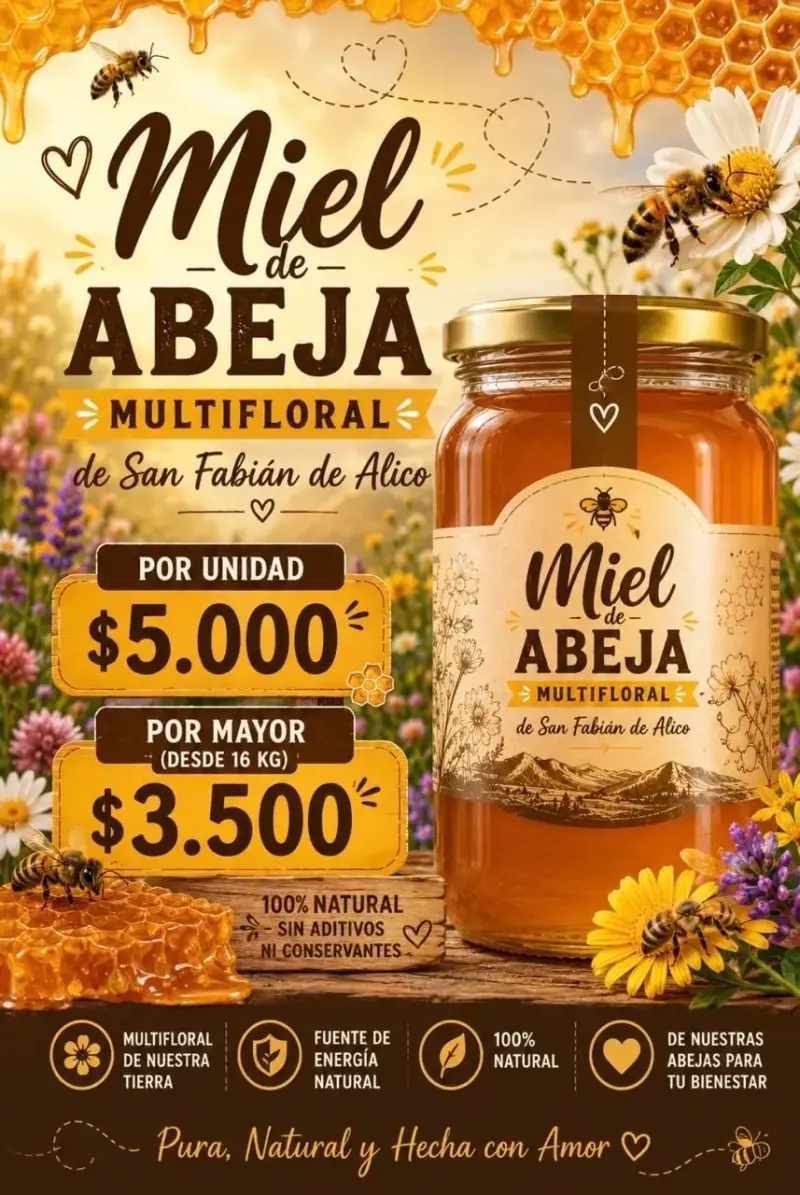 Miel de abeja multifloral - 1