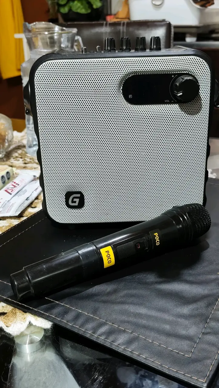 Parlante con micrófono portátil Master g - 4