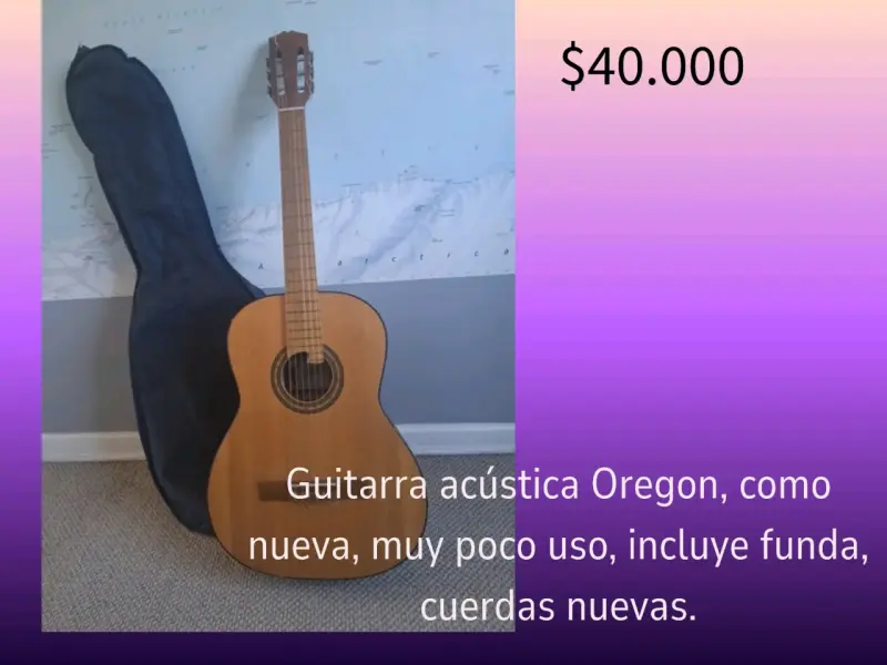 Guitarra acústica con funda