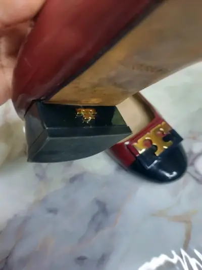 Zapatos TORY Burch planos bicolor elegantes - miniatura 4