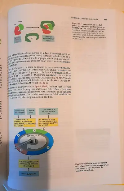 Albert introduccion a la biologia celular 5ed - miniatura 2