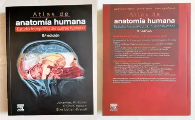 Yokochi Atlas de anatomía humana 9ª edición - miniatura 1