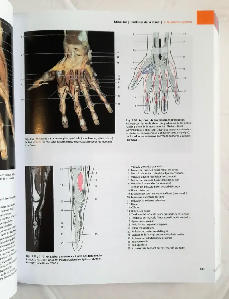 Yokochi Atlas de anatomía humana 9ª edición - 2