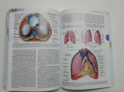 Libro Moore Anatomía Moore 8a edición - miniatura 2
