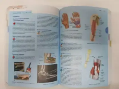 Libro Moore Anatomía Moore 8a edición - miniatura 4