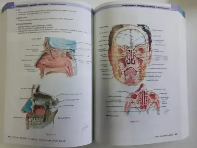 Libro Netter Cabeza cuello 3ed - miniatura 3