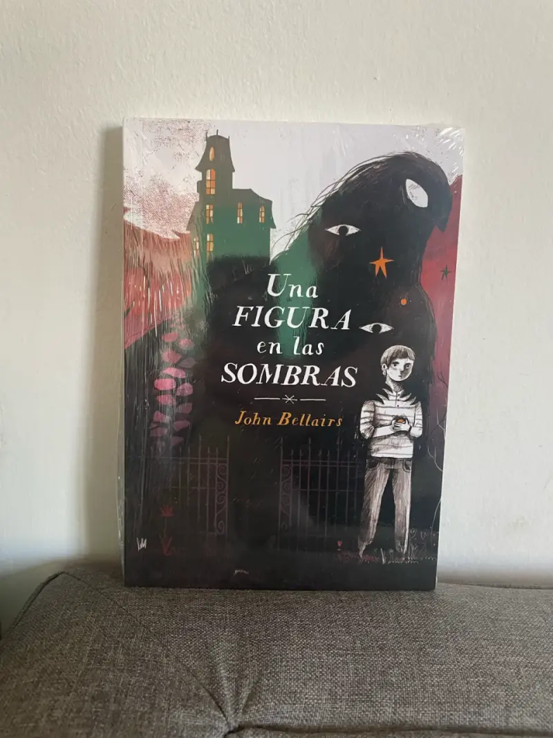 Libro Una Figura en las Sombras