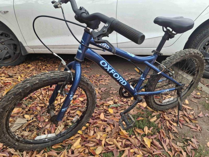 Bicicleta infantil Oxford azul - 1