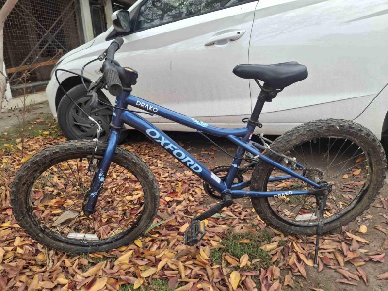 Bicicleta infantil Oxford azul - 2