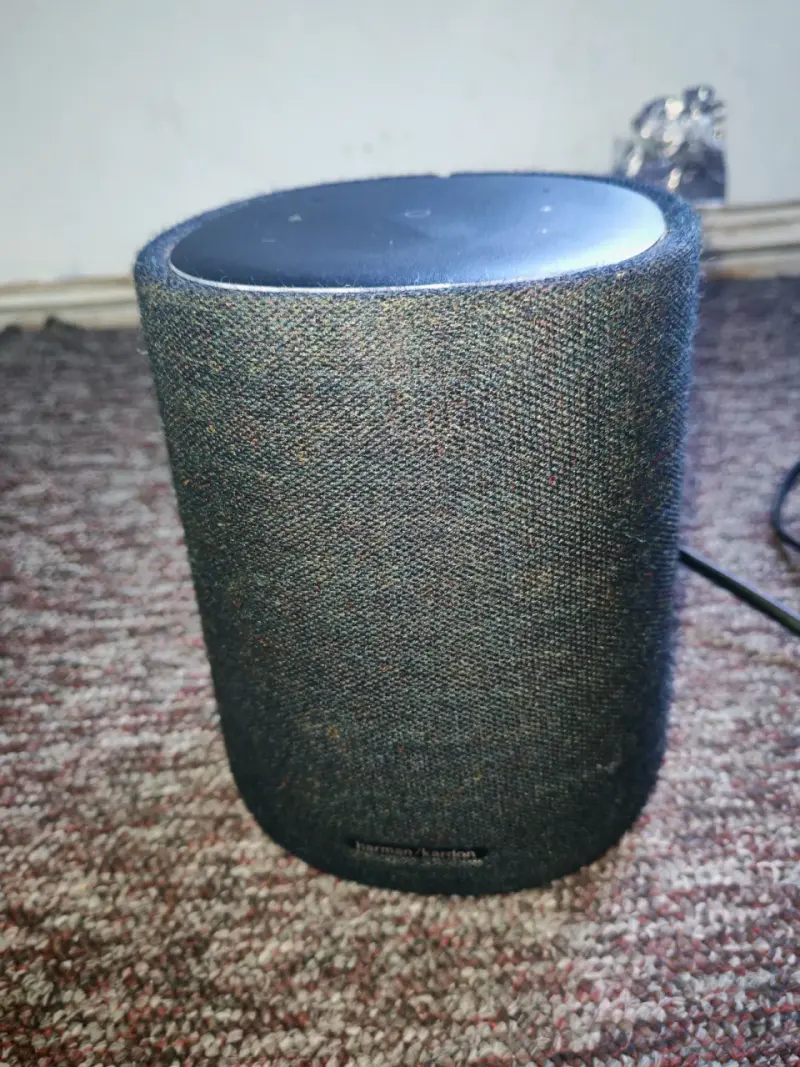 Altavoz Harman Kardon gris - 2