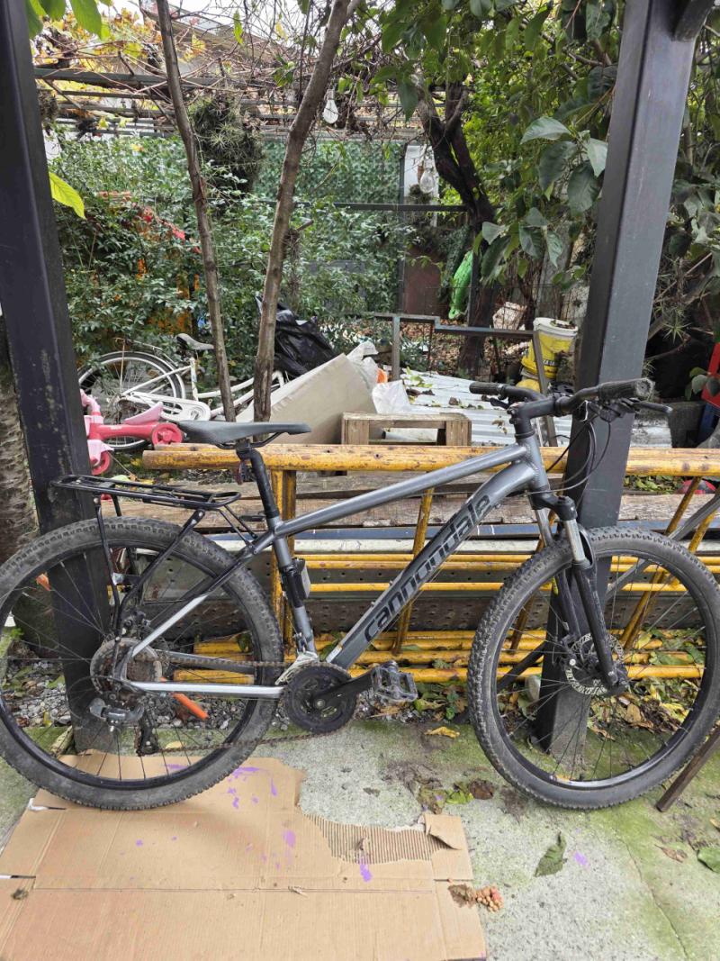 Bicicleta de montaña gris Cannondale
