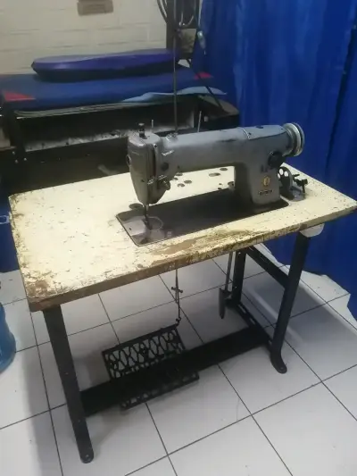Caseta plástica para perro - miniatura 5