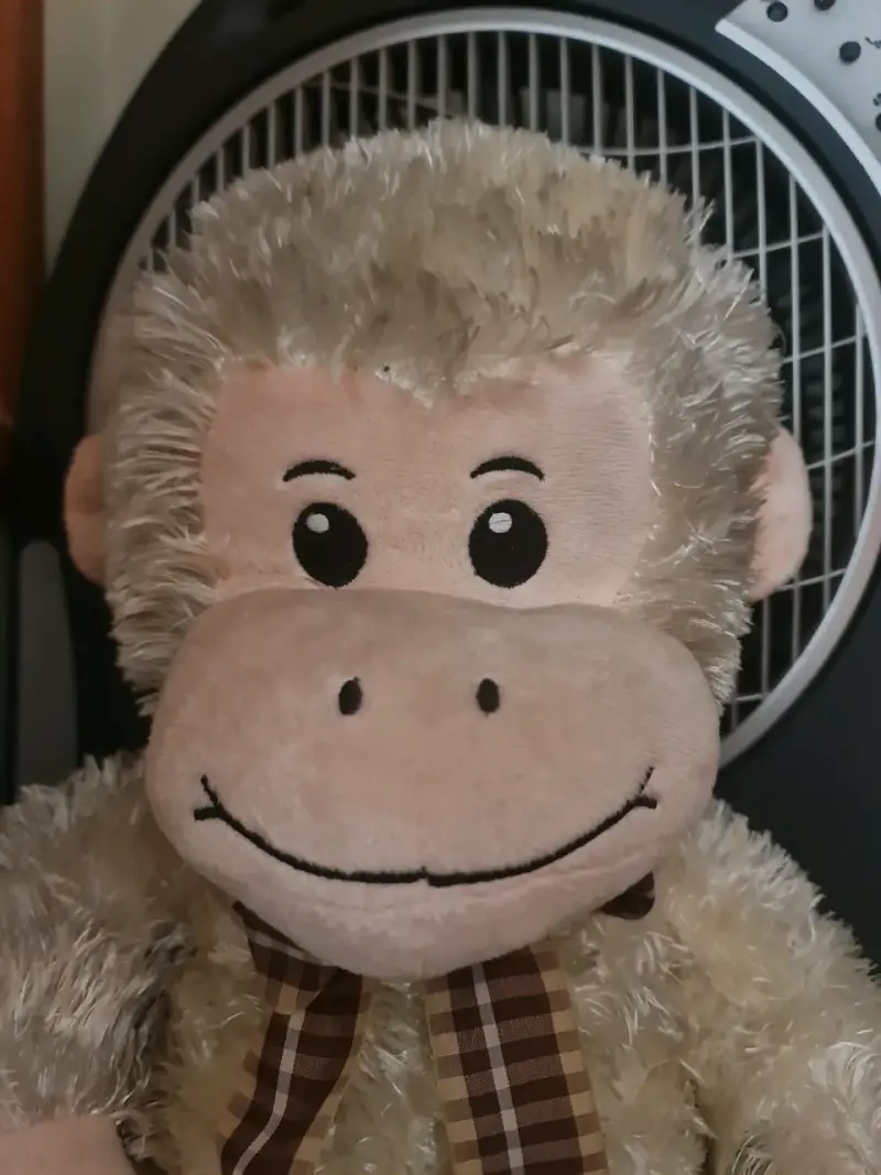 Peluche mono grande con cinta - 2