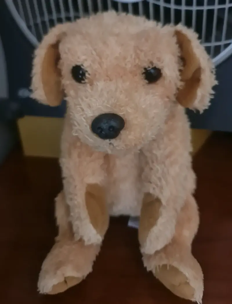 Peluche de perro color beige - 1
