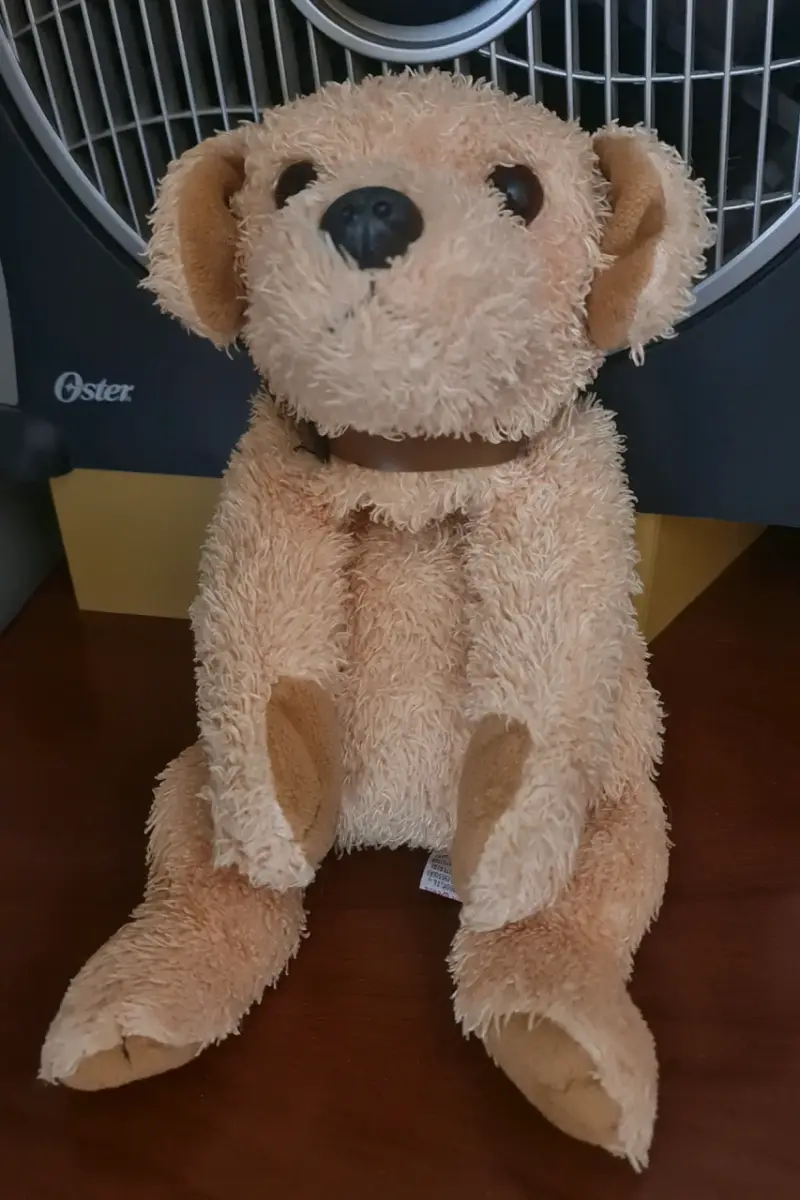 Peluche de perro color beige - 2