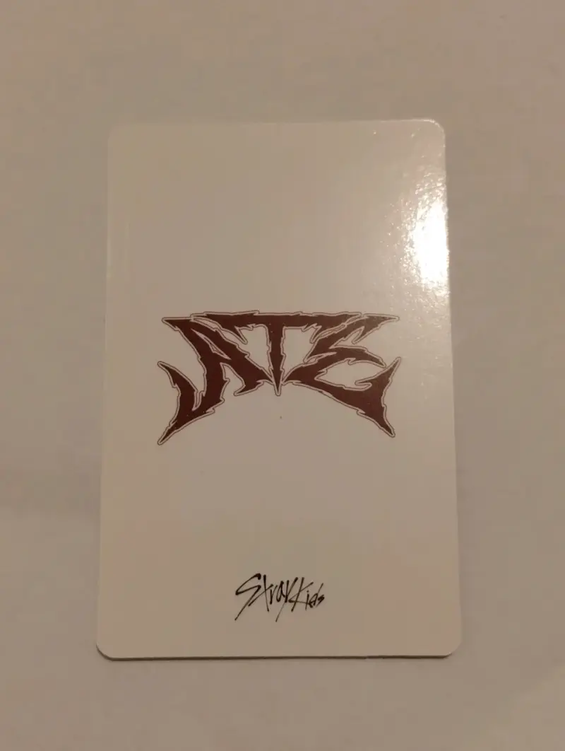 Stray Kid fotocard Lee Know y Chanbing - 2