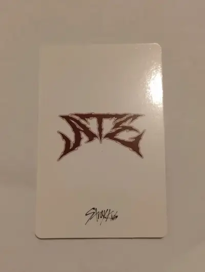 Stray Kid fotocard Lee Know y Chanbing - miniatura 2