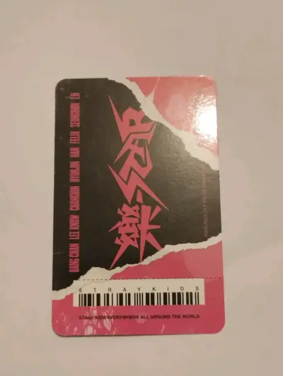 Stray Kid fotocard Lee Know y Chanbing - miniatura 4