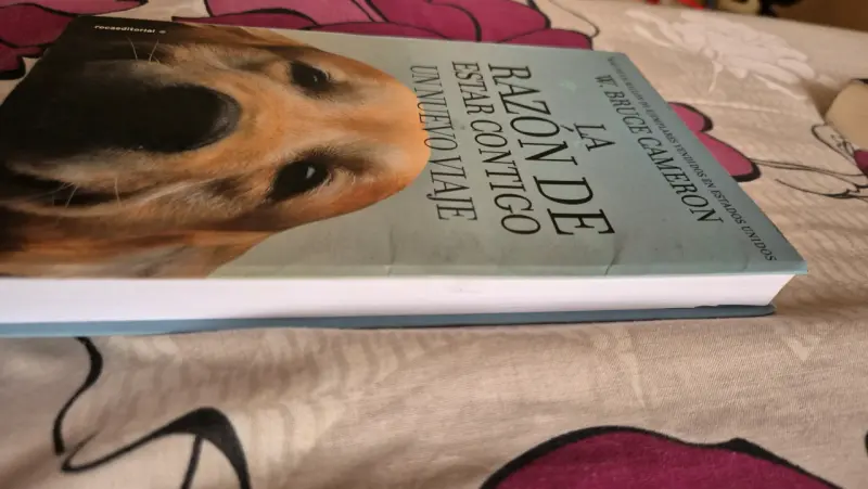 Libro 'La razón de estar contigo' - 2