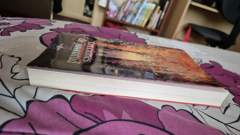 Libro Lecciones de Juventud - 2