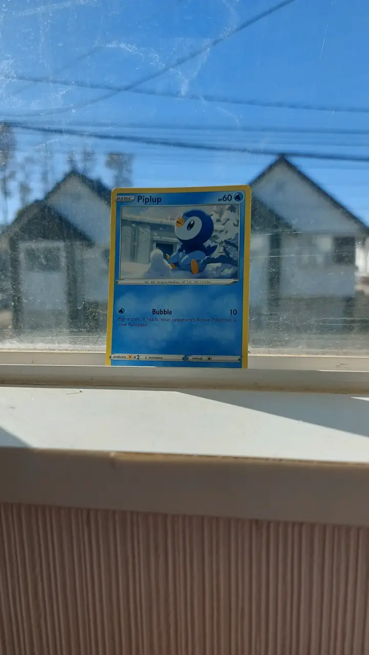 Carta Pokémon - 2