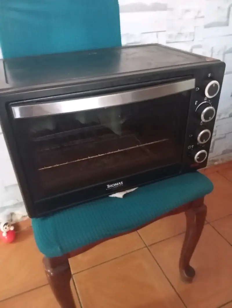 Horno eléctrico Thomas - 2