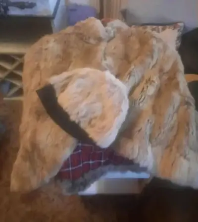 Capa de piel de conejo con gorro - miniatura 1