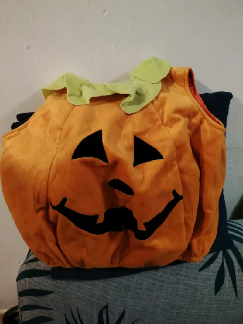 Disfraz de calabaza infantil - 1