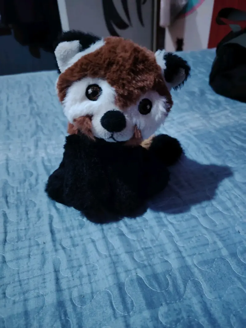 Peluche de panda rojo - 1