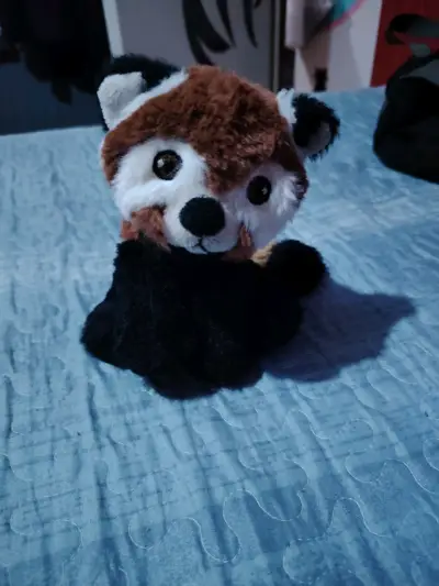 Peluche de panda rojo - miniatura 1