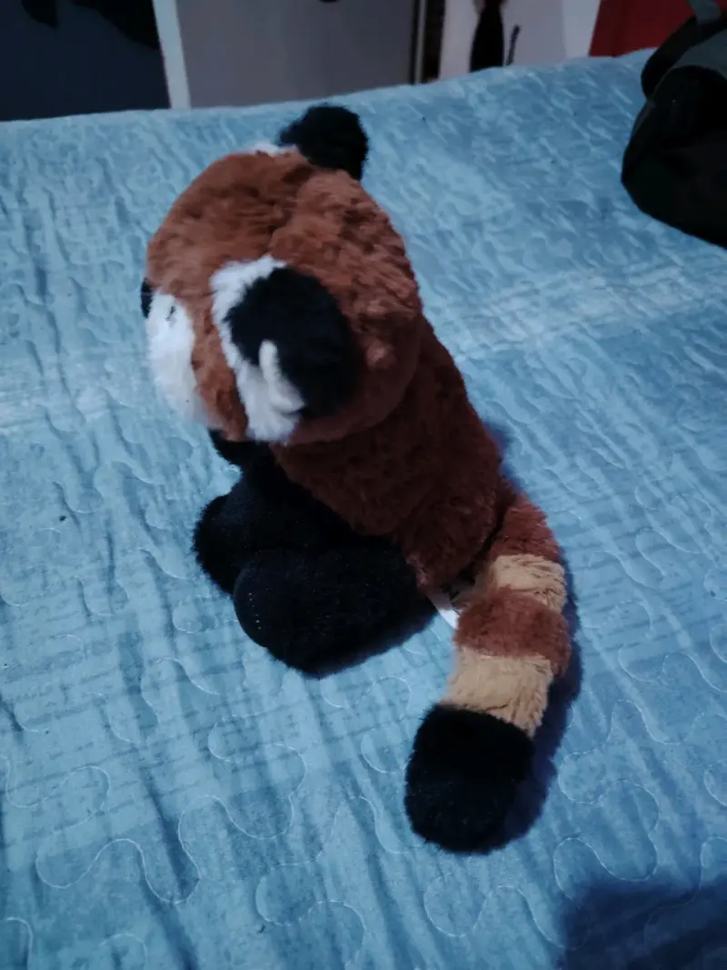 Peluche de panda rojo - 2