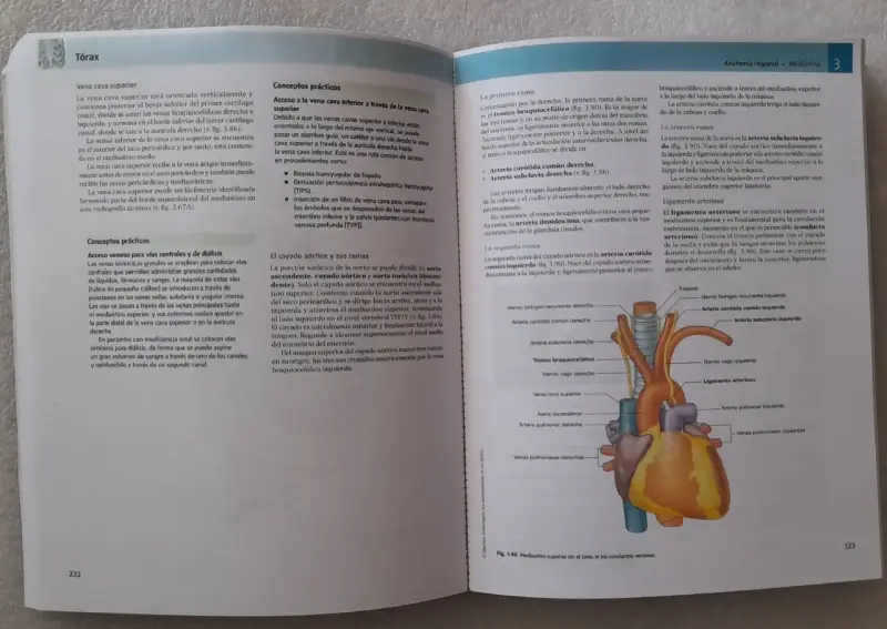 Gray Anatomia Para Estudiantes 4ed - 2