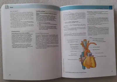 Gray Anatomia Para Estudiantes 4ed - miniatura 2