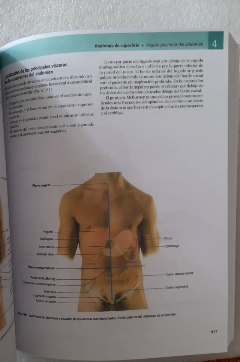 Gray Anatomia Para Estudiantes 4ed - 3