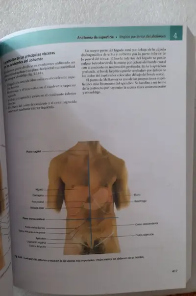 Gray Anatomia Para Estudiantes 4ed - miniatura 3