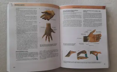 Gray Anatomia Para Estudiantes 4ed - miniatura 4