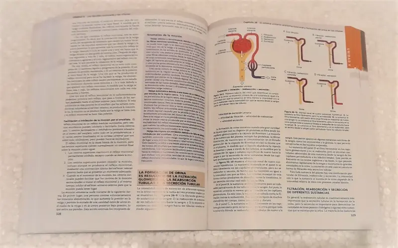 Tratado de Fisiología Médica 14ª Ed. 2 TOMOS - 5