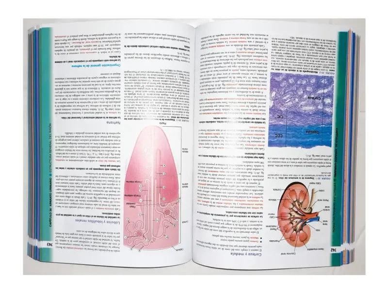 Ross. Histologia Texto Y Atlas. 8va Edición - 3
