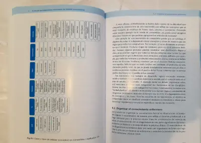 DIAGNÓSTICOS ENFERMEROS 2021-2023 - miniatura 3