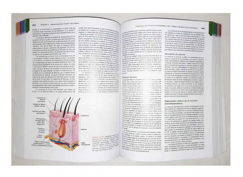 Libro Porth Fisiopatología 10ª Edición - 3