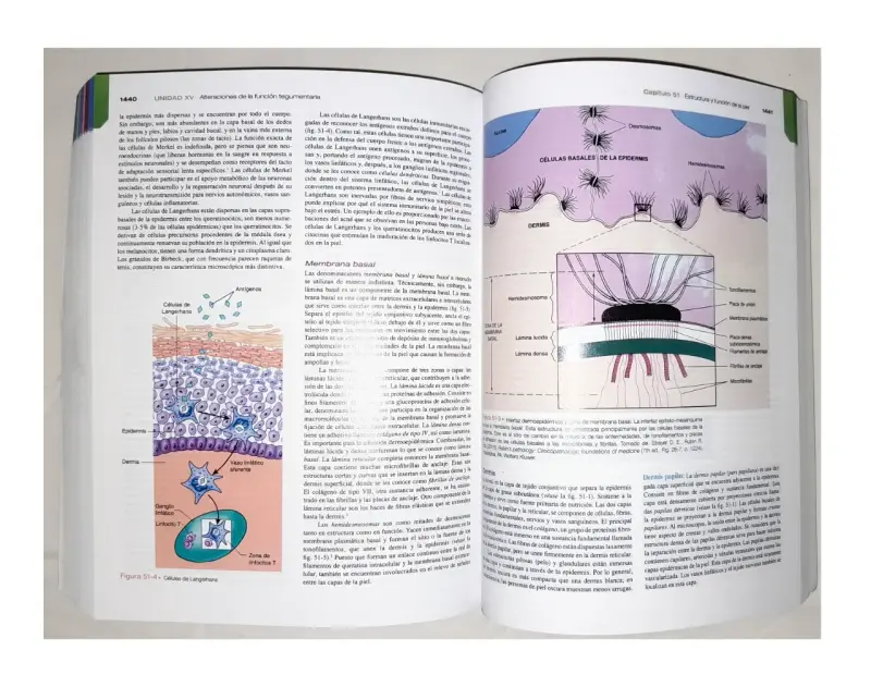 Libro Porth Fisiopatología 10ª Edición - 5