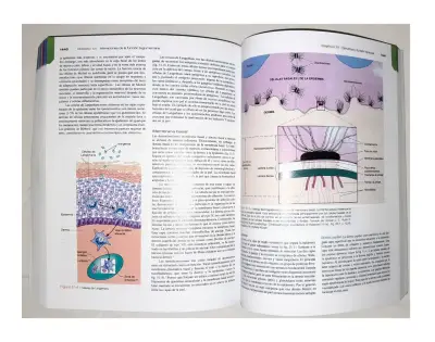 Libro Porth Fisiopatología 10ª Edición - miniatura 5