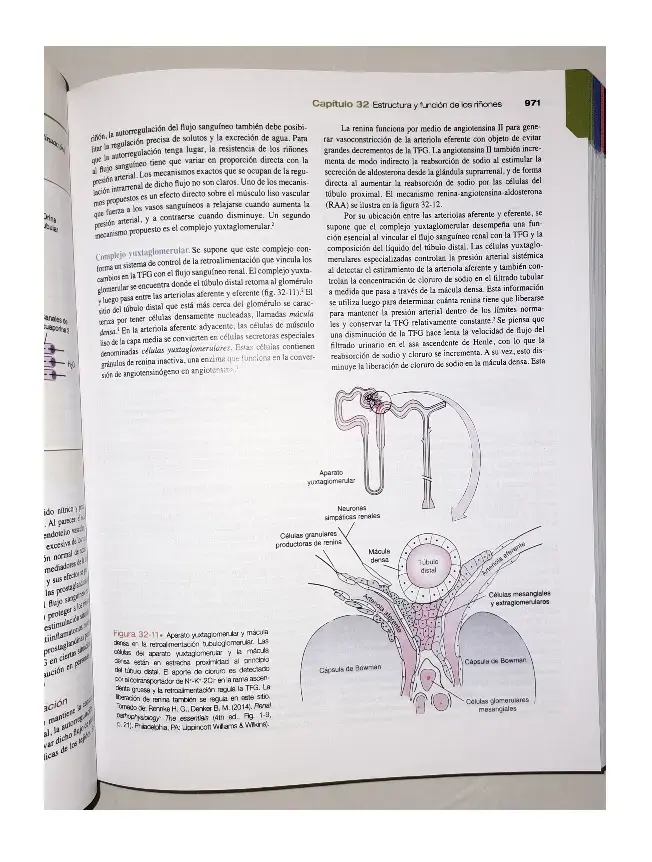 Libro Porth Fisiopatología 10ª Edición - 6